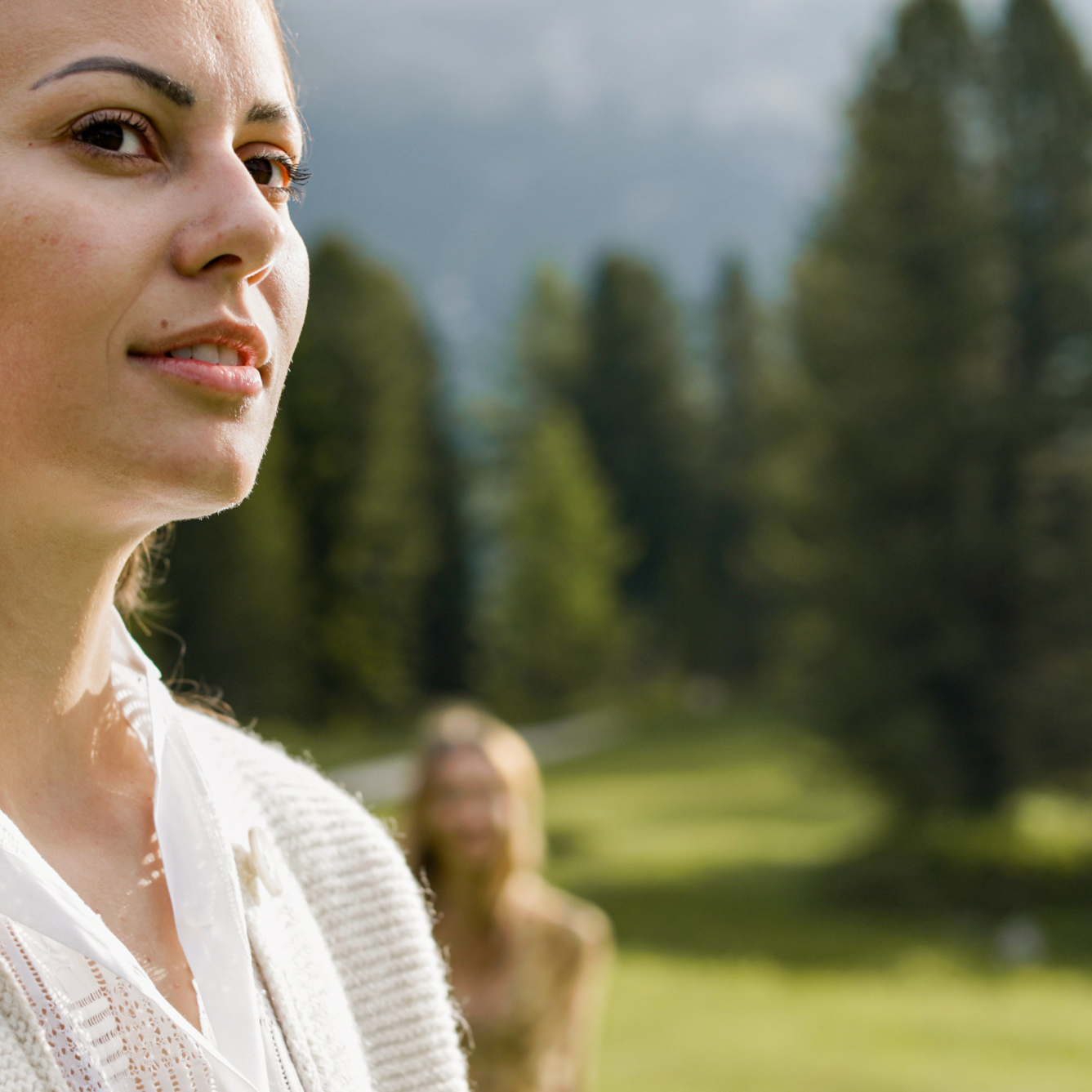 FD_Dolomites_arnica_med_3_21.png