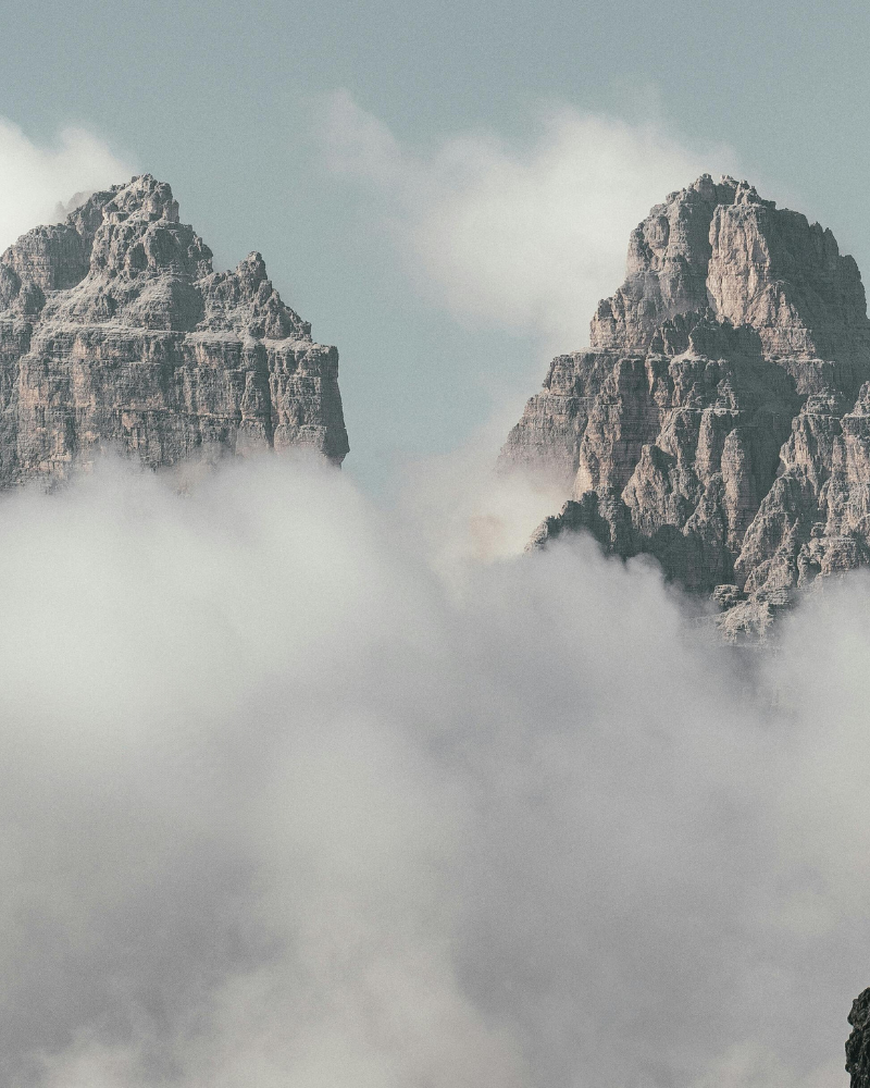 Arnica_CBD_-_pMax_800_x_1000_px_1.png